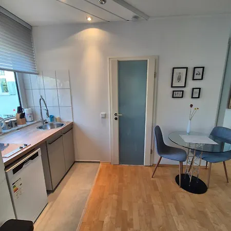 Sonnige Loft Mit Dachterasse Wiesbaden